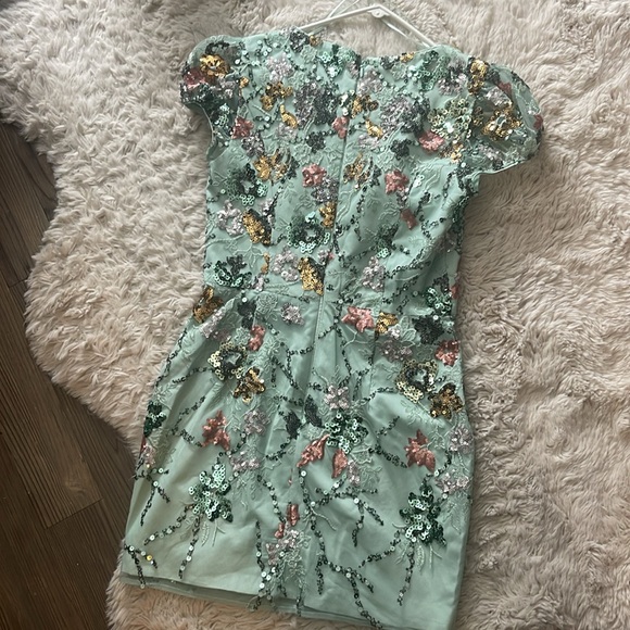 Dress The Population | Jilllian Sage Dress Sequins - Picture 5 of 5